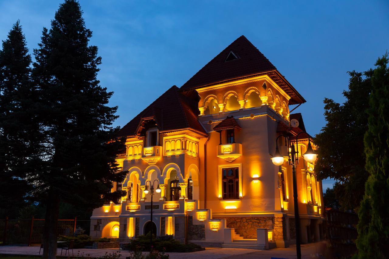 Hotel Casa Danielescu Târgu Jiu Exterior foto